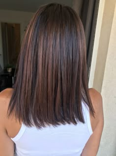 2024 Hair Trends, Black Hair Balayage, Brunette Hair With Highlights, Gorgeous Hair Color, Fall Hair Color For Brunettes, Brunette Balayage Hair, Haircuts Straight Hair, Brown Highlights