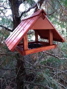 a bird feeder hanging from a tree in the woods