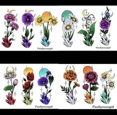 an image of flowers in different colors