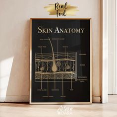 Skin Anatomy Art, Gold Foil Print, Dermatology Poster, Esthetician Decor, Dermatologist Gift, Beauty Salon Decor, Facial Poster, Med Spa Art Foil printing is an original and bright decoration for your interior and a wonderful gift for friends and family! All posters are printed on smooth, thick paper. Please note, this is an intricate handmade piece and each poster is printed specifically for you, so the foil coating may have tiny imperfections. This is normal and does not affect the overall app Med Spa Artwork, Artwork For Spa, Med Spa Product Display, Med Spa Wall Art, Medical Spa Color Palette, Esthetician Room Setup, Facial Spa Room Ideas, Aesthetician Room Decor, Skin Clinic Interior Design