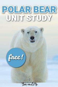 the polar bear unit study is free