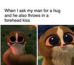 an animal with big eyes and the caption says, when i ask my man for a hug and he also throws in a forehead kiss