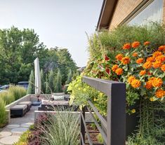 an outdoor patio with flowers and plants on it