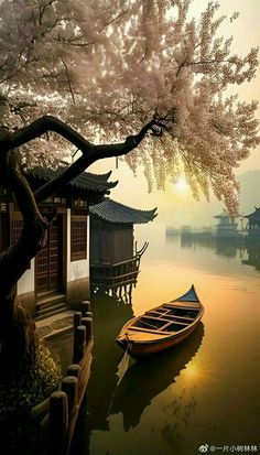 a boat floating on top of a body of water near a tree filled with flowers