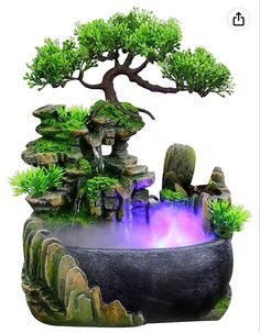 a bonsai tree with water and rocks in the foreground