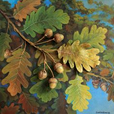 an oil painting of leaves and acorns on a blue background