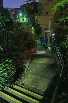 stairs lead up to an apartment building at night with lights shining on the trees and bushes