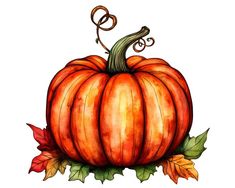 a watercolor painting of a pumpkin with leaves around it and the letter s on top