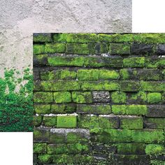 green moss growing on the side of a brick wall next to an image of grass