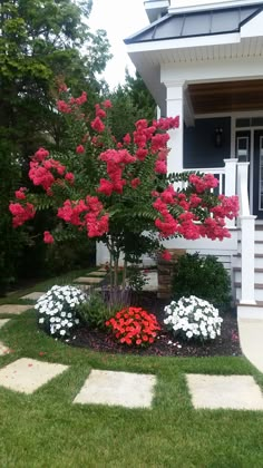 red and white flowers in front of a house with steps leading up to the porch