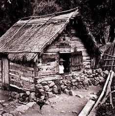 black and white photograph of an old log cabin