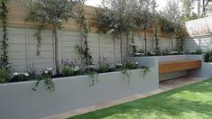 an outdoor garden with white flowers and greenery on the wall, along with a wooden bench