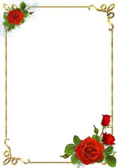 a red rose with green leaves and gold border