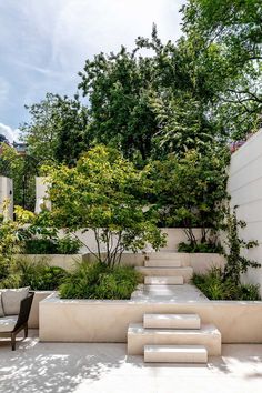 an outdoor garden with steps leading up to trees