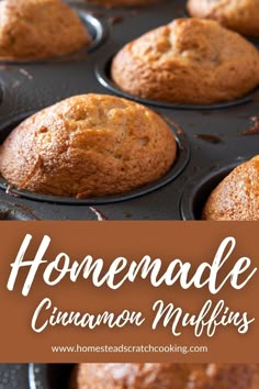 homemade cinnamon muffins in a baking pan with the title overlay reading homemade cinnamon muffins