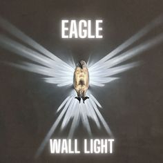 an eagle is flying through the air with light coming from it's back end