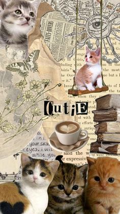 the collage shows cats, coffee cups and old books as well as photoshopped images