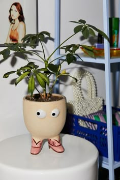 a potted plant sitting on top of a white stool