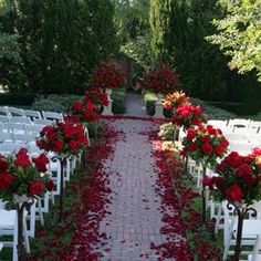 the aisle is lined with red roses and white chairs for an outdoor wedding ceremony or reception