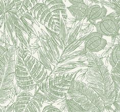 Brentwood Green Palm Leaves Wallpaper by Scott Living Green Palm Wallpaper, Baby Jungle Room, Palm Leaves Wallpaper, Paper Weave, Baby Jungle, Playful Palette, Green Palm Leaves, Palm Leaf Wallpaper, Palm Leaf Design