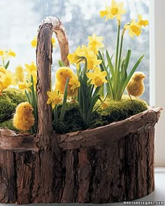 a basket filled with yellow flowers sitting on top of a wooden table next to a window