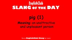 a red background with the words sing of the day and an image of a pig