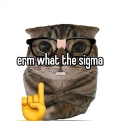 a cat wearing glasses with the words erm what the stigma