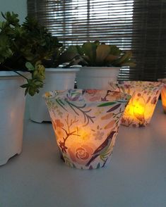 three lit candles sitting on top of a table next to potted plants