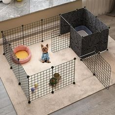 a dog is sitting in its caged area with his toys and water bowl on the floor