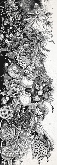 a drawing of flowers and plants in the middle of a river with water lilies