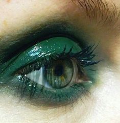 Gothic Cinderella, Cunning Folk, Frog Pond, Eye Photo, Slytherin Pride, Hogwarts Aesthetic, Slytherin Aesthetic