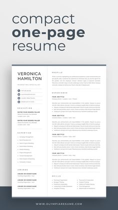 a professional resume template for wordpress