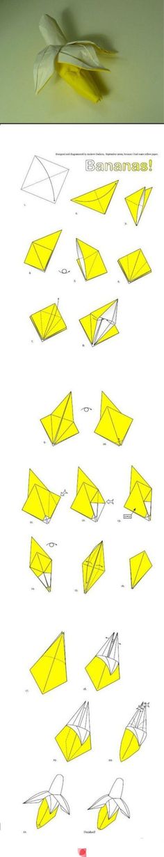 the instructions for how to make an origami bird