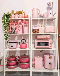 the shelves are filled with pots, pans and other kitchen items in pink colors