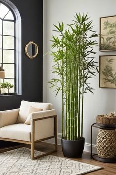 a living room filled with furniture and a tall bamboo plant in the middle of the room