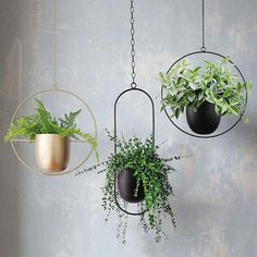 three hanging planters with plants in them