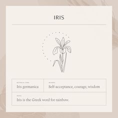 the website for iris is shown with an image of a flower in it's center