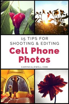 cell phone photos with the text 15 tips for shooting and editing