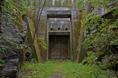 an old, run down tunnel in the woods