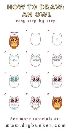 how to draw an owl step - by - step with pictures and instructions for beginners