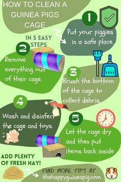 a green poster with instructions on how to clean a guinea pig's cage in five steps