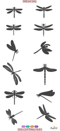 the silhouettes of different types of dragonflies