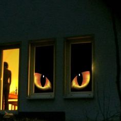 two windows with yellow and orange cats'eyes in the window sill at night