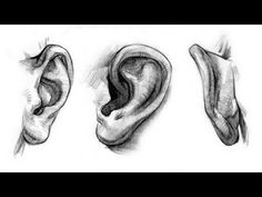 three different views of an ear