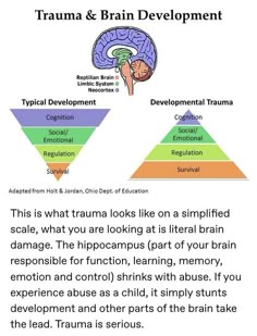 the brain is divided into three sections