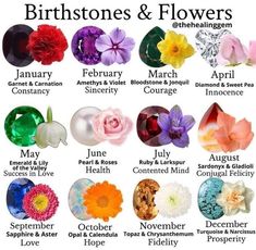 the different types of flowers and their meanings