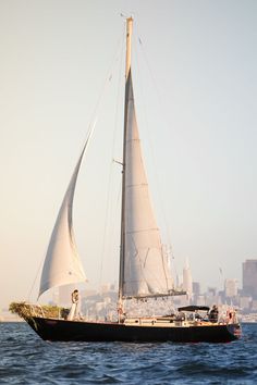 a sailboat with white sails in the ocean near a cityscape on a sunny day