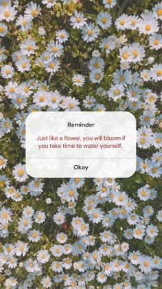 some daisies with a quote on it that says, reminder just like a flower you will bloom if you take time to water yourself