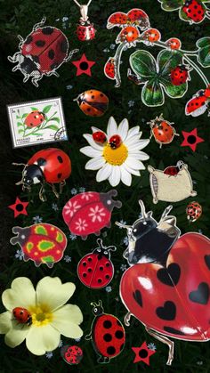 ladybugs, daisies, and other decorative items are on the ground next to each other