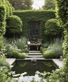 an outdoor garden with water and plants